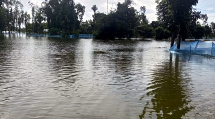 নাঙ্গলকোটে ভেসে গেছে পুরস্কার পাওয়া ফিশারিজের তিন কোটি টাকার মাছ 