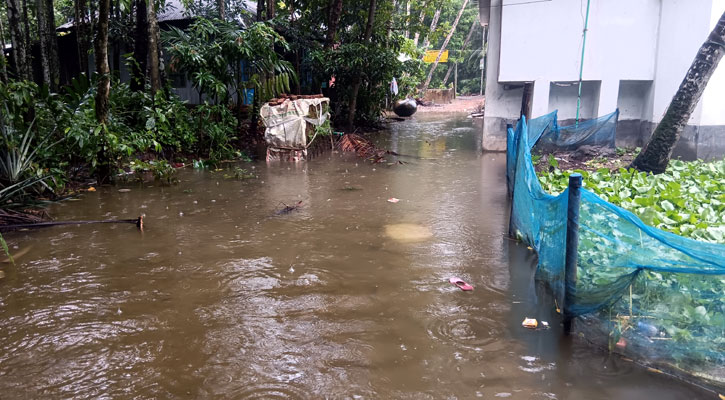 লক্ষ্মীপুরে ভারী বর্ষণ, ফের বন্যার শঙ্কা