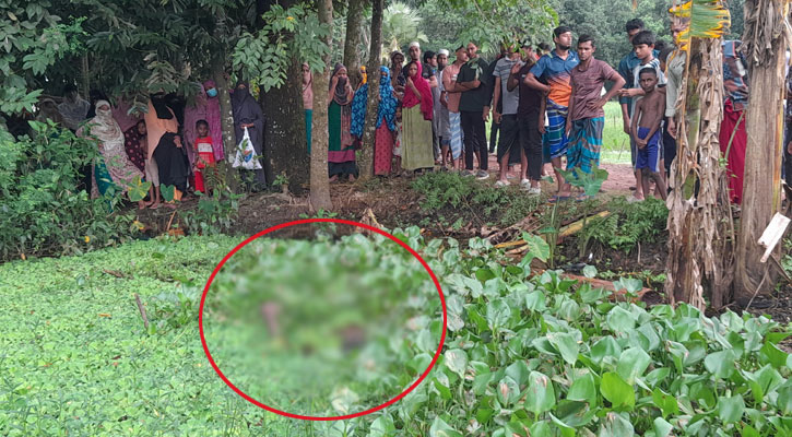 লক্ষ্মীপুরে ডোবায় মিলল এক ব্যক্তির মরদেহ  