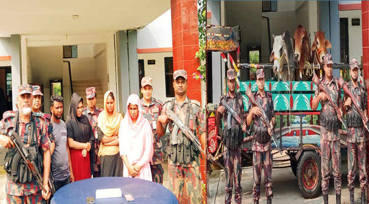 ভারতে অনুপ্রবেশের সময় কলারোয়ায় আটক ৪