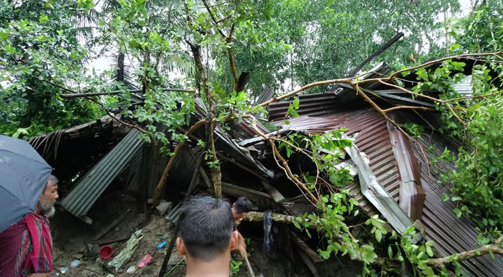 ঘূর্ণিঝড় দানা: মির্জাগঞ্জে সাত ঘর বিধ্বস্ত, আহত ৩