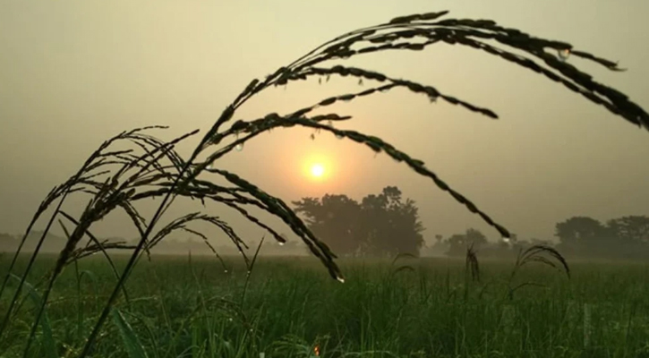 আগামী সপ্তাহ থেকে কমতে পারে তাপমাত্রা