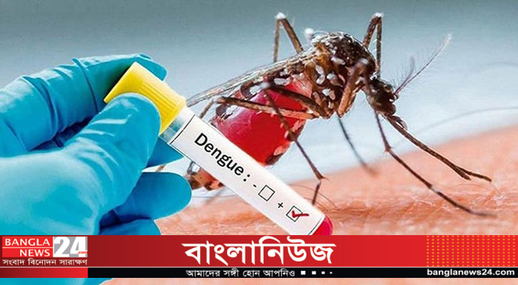 ডেঙ্গুতে আরও ৭ মৃত্যু, হাসপাতালে ভর্তি ৫৯৬