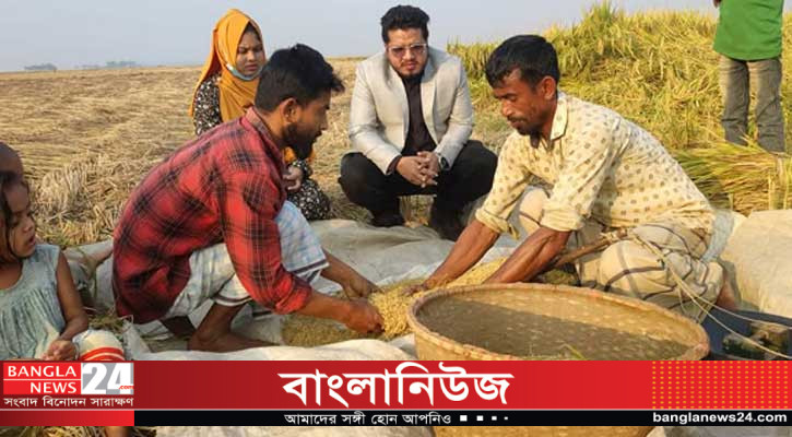 হবিগঞ্জে গোলায় উঠছে ৮৫ শতাংশ ধান