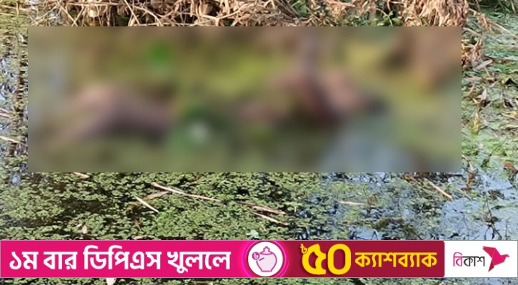 বেনাপোল সীমান্ত এলাকা থেকে আরও এক যুবকের মরদেহ উদ্ধার