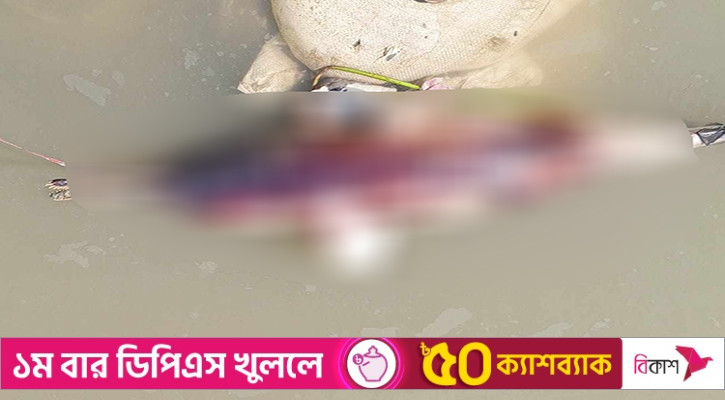 হালদায় মিলল ১৩ কেজি ওজনের মৃত ডলফিন