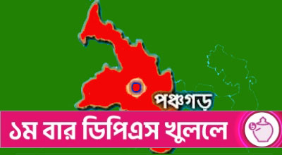 পঞ্চগড় সীমান্ত থেকে বাংলাদেশি কিশোরকে ধরে নিয়ে গেছে বিএসএফ