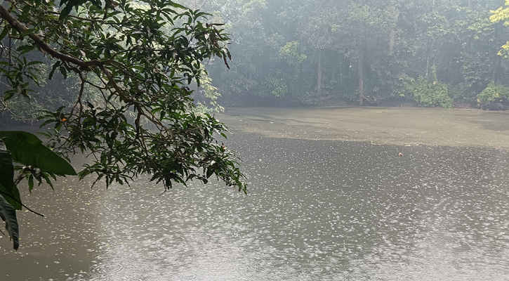 লক্ষ্মীপুরে গুঁড়ি গুঁড়ি বৃষ্টি, থাকবে আরও দুয়েক দিন