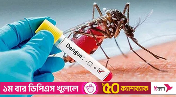 ডেঙ্গুতে তিনজনের মৃত্যু, হাসপাতালে ভর্তি ১৪১