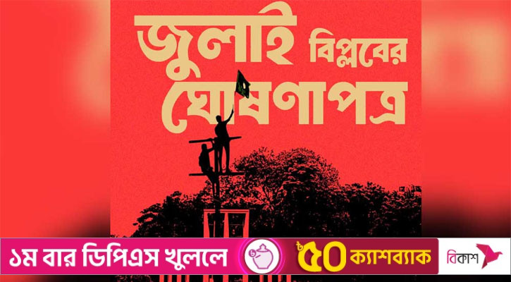 অভ্যুত্থানের স্বীকৃতি নিশ্চিত করবে জুলাই ঘোষণাপত্র