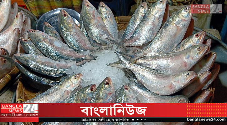 লাখ টাকা ছাড়ালো এক কেজি ওজনের ইলিশের মণ