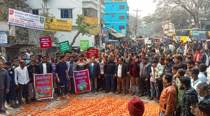 নাটোরে মহাসড়কে টমেটো ফেলে চাষিদের বিক্ষোভ