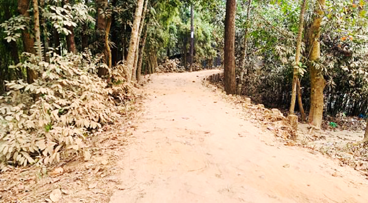 বেহাল সড়ক সংস্কারের দাবিতে মানববন্ধনের ডাক