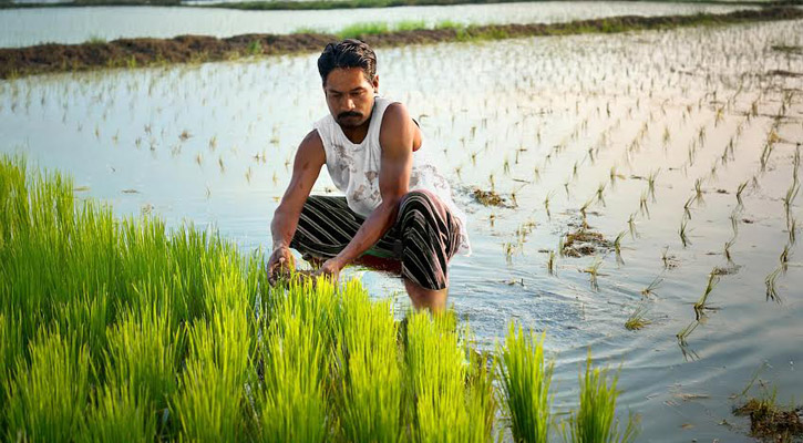 ১ লাখ ৩৪ হাজার কৃষকের হাতে প্রণোদনার টাকা পৌঁছে দিচ্ছে ‘বিকাশ’