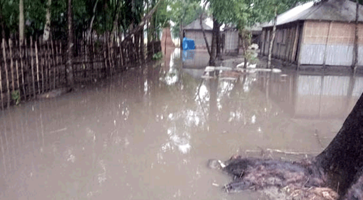 বর্ষার আগেই অঝোর বৃষ্টিতে প্লাবিত রংপুরের নিম্নাঞ্চল