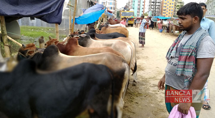 আফতাবনগর-মেরাদিয়ায় পশুর হাট নয়, আদেশ বহাল