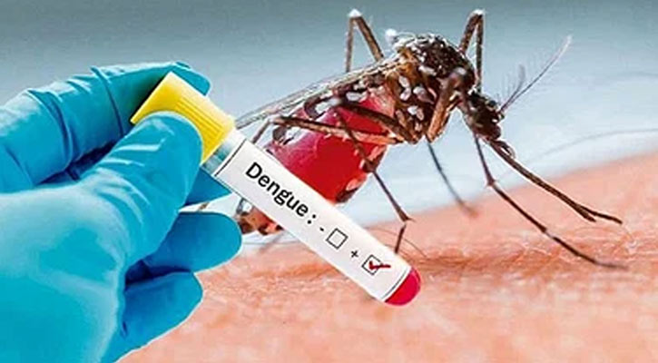 ডেঙ্গুতে মৃত্যু নেই, হাসপাতালে ভর্তি আরও ৬৭