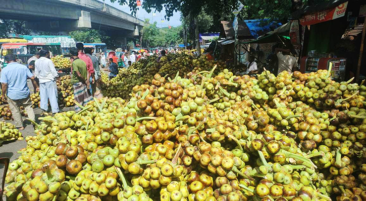 বৃষ্টিতে ভাটা তালের পাহাড়ে!