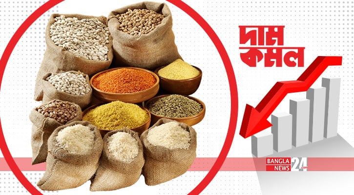 এবারের বাজেটে দাম কমতে পারে যেসব পণ্যের 