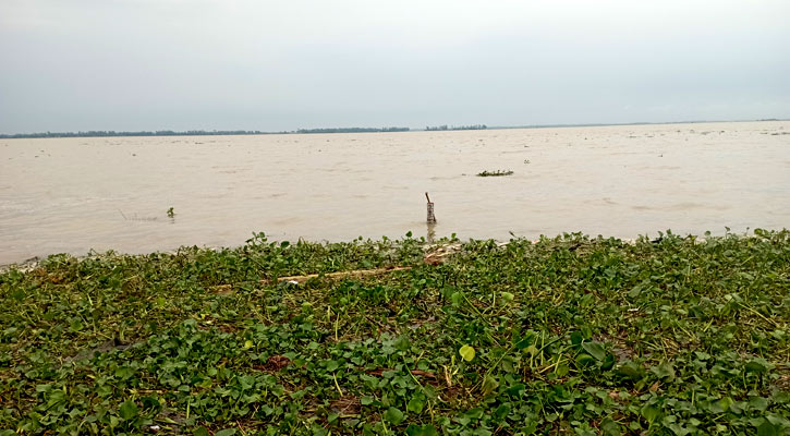 তিনদিনে সোয়া ২ মিটার পানি বাড়ল যমুনায়, নিম্নাঞ্চল প্লাবিত