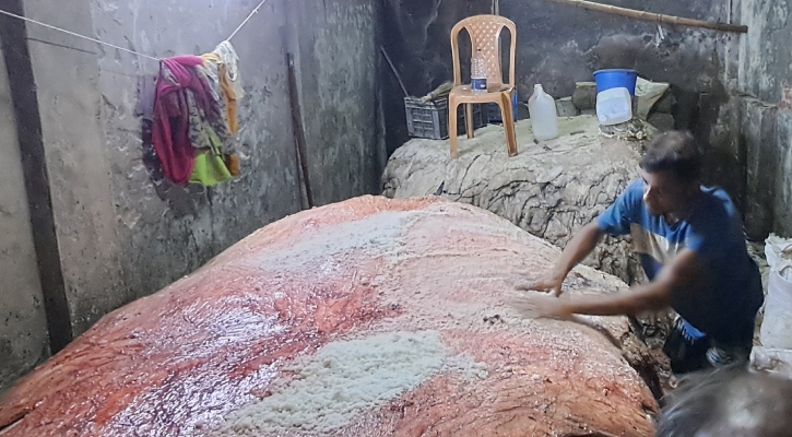 চাঁদপুরে সর্বোচ্চ ৫০০ টাকায় কোরবানির গরুর চামড়া বিক্রি
