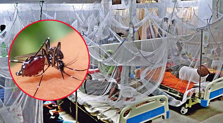 ডেঙ্গুতে আরও একজনের মৃত্যু, হাসপাতালে ১৬৯