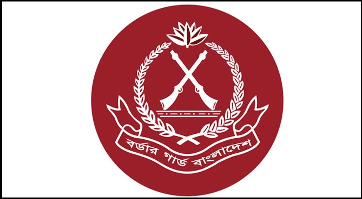 মে মাসে ১৩৩ কোটি টাকার চোরাচালান জব্দ বিজিবির