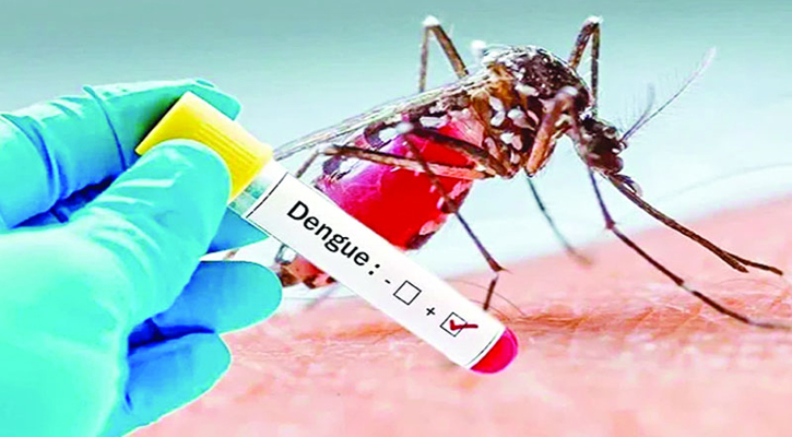 ডেঙ্গুতে বরিশালে বৃদ্ধসহ দুইজনের মৃত্যু