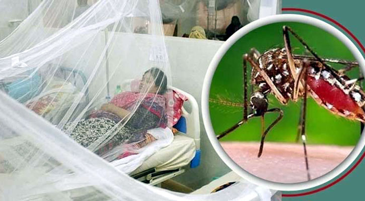 ডেঙ্গুতে মৃত্যু ১০০ ছাড়াল