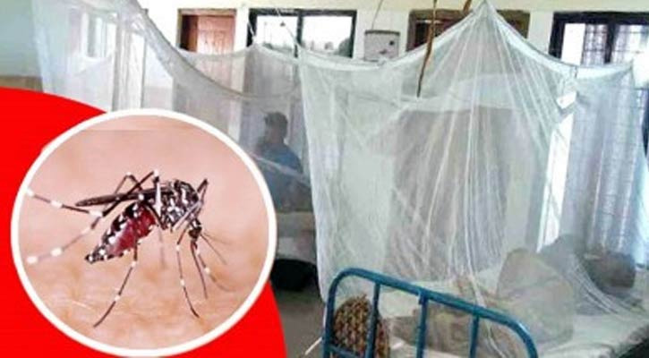 ডেঙ্গুতে দুইজনের মৃত্যু, হাসপাতালে ভর্তি ৭১৫